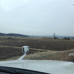 雨が降り出した福島県白河市です。雪がまったくありません！